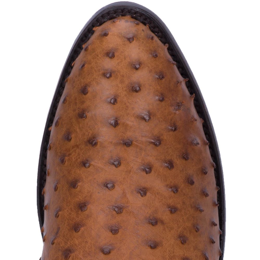 Dan Post Men's Tempe Ostrich Boots