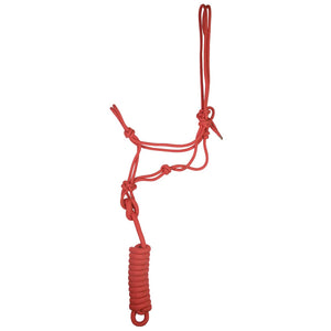 Classic Cowboy Rope Halter with Lead - Solid Colors